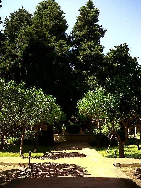 b0064411_23252513.jpg