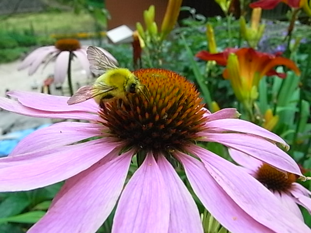 f0341616_6183367.jpg