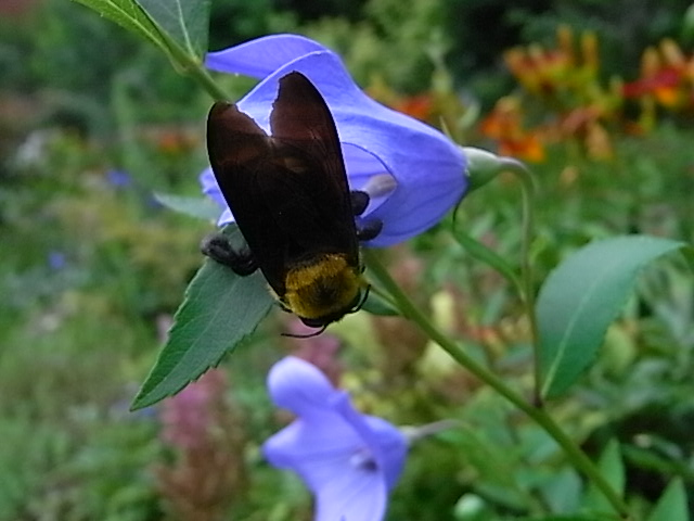 f0341616_64559.jpg