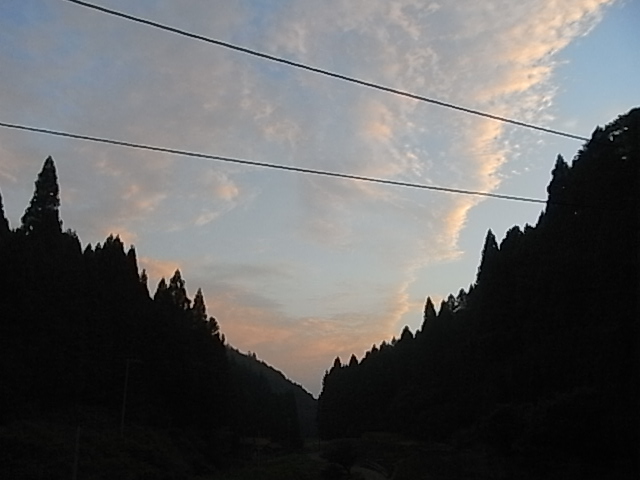 f0341616_648875.jpg