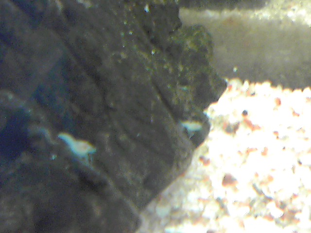 a0291521_1013942.jpg