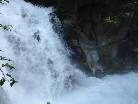 a0206332_9352890.jpg