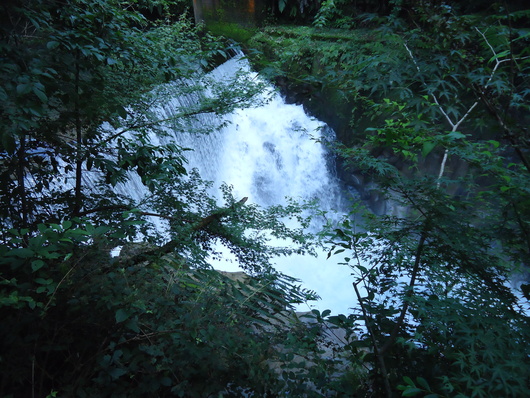 a0206332_9392815.jpg