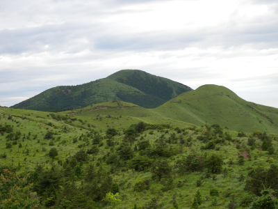 e0272335_1642548.jpg