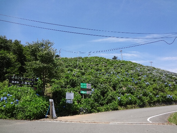 b0149340_16101521.jpg