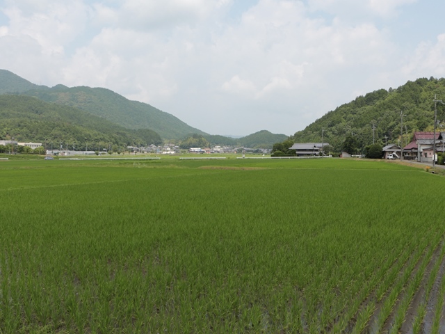 e0017051_10162323.jpg