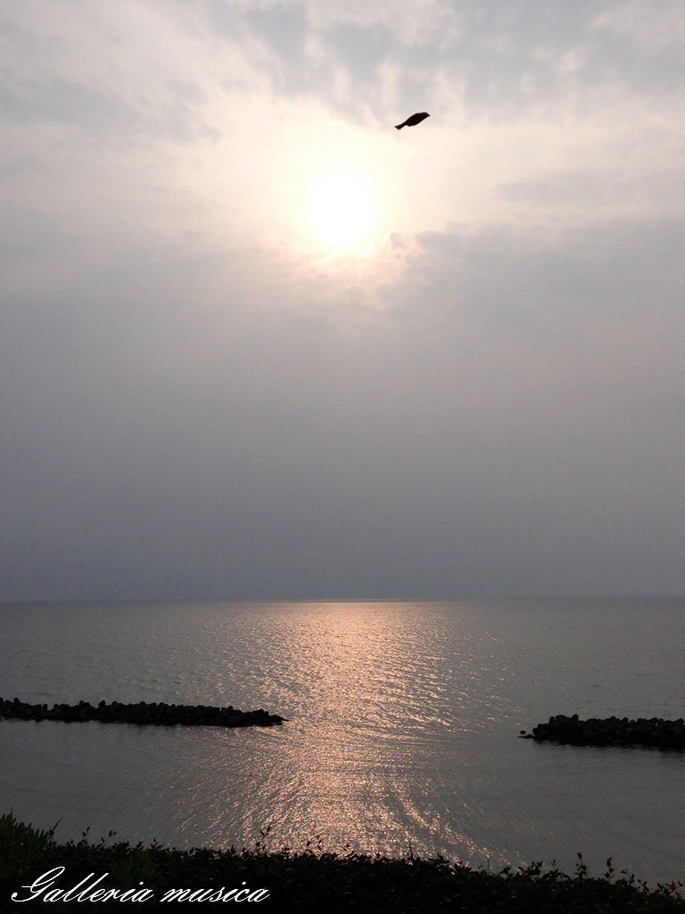 f0351853_15002847.jpg