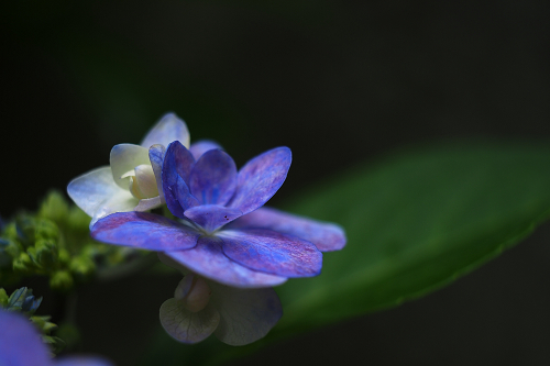 b0244261_21434344.jpg
