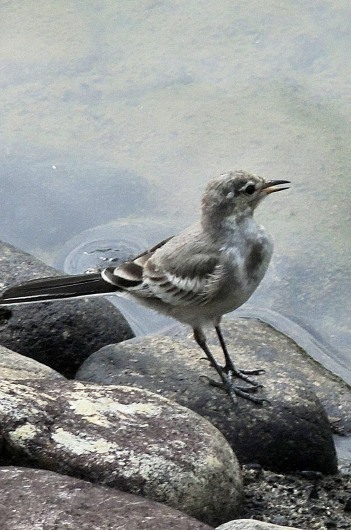 f0297861_21221096.jpg
