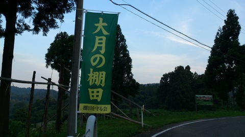 d0182179_20215552.jpg