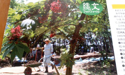 c0069380_1217090.jpg