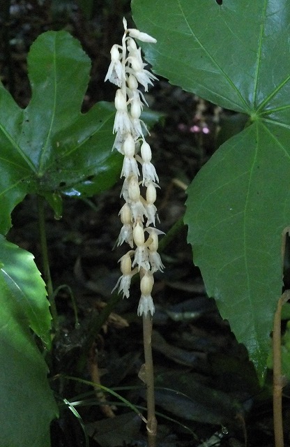 e0070891_202052.jpg