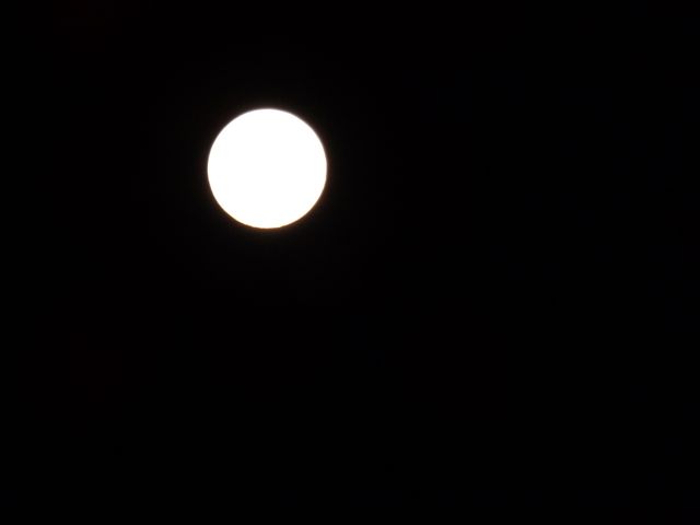 f0130894_23245217.jpg