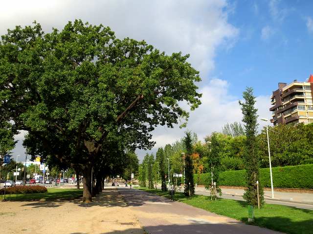 b0064411_06275226.jpg