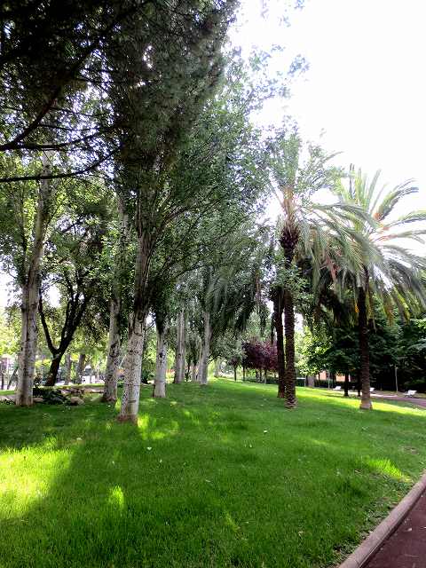 b0064411_06414638.jpg