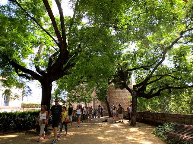 b0064411_22561647.jpg