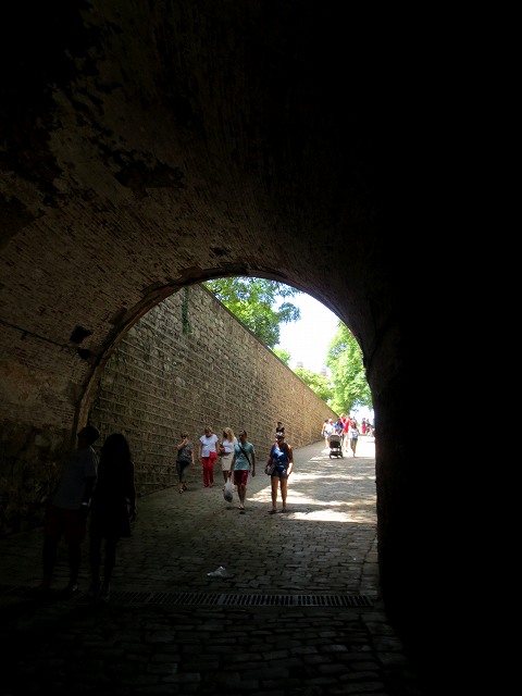 b0064411_22561680.jpg