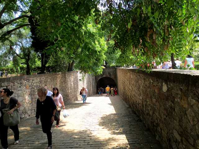 b0064411_22593176.jpg
