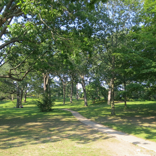e0167411_1265766.jpg