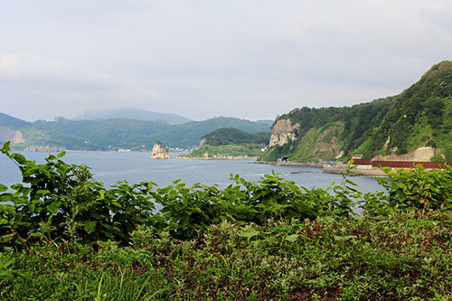 a0139912_2022357.jpg