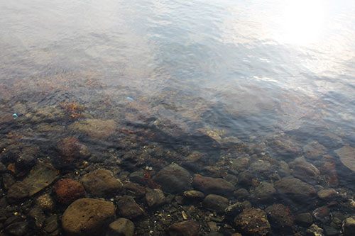 a0139912_2022448.jpg