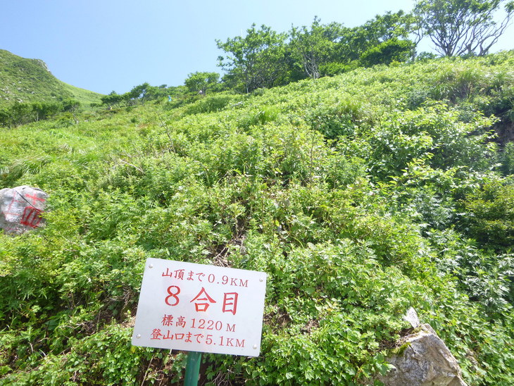 d0170615_9425555.jpg