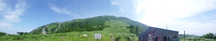 d0170615_942891.jpg