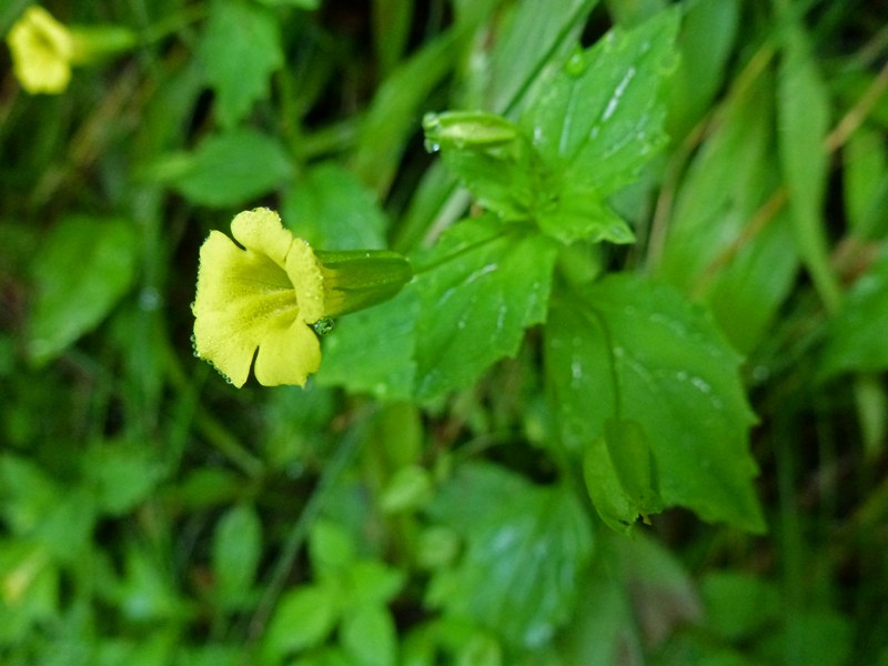 c0042418_824487.jpg