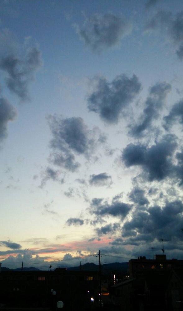 b0199924_18193690.jpg