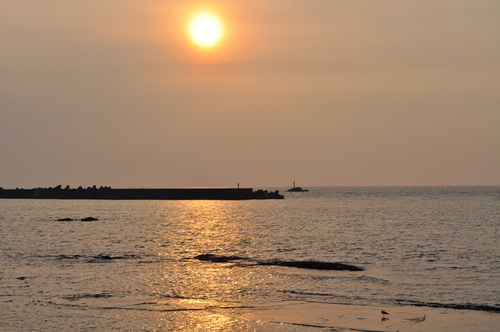 a0248728_1665673.jpg