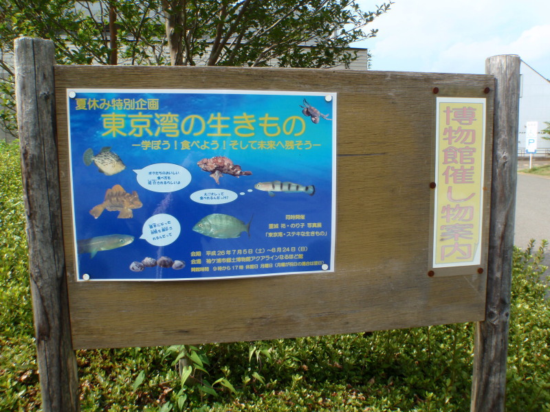 c0034029_17525536.jpg