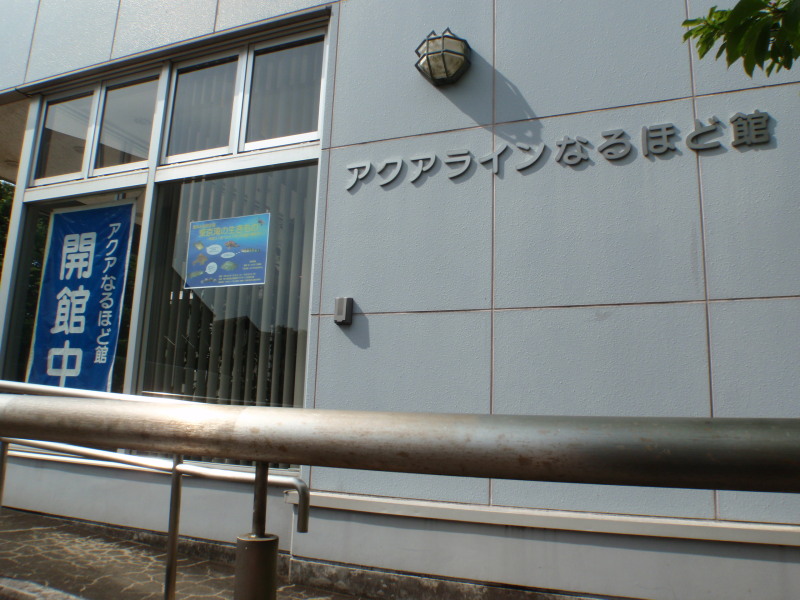 c0034029_17531379.jpg