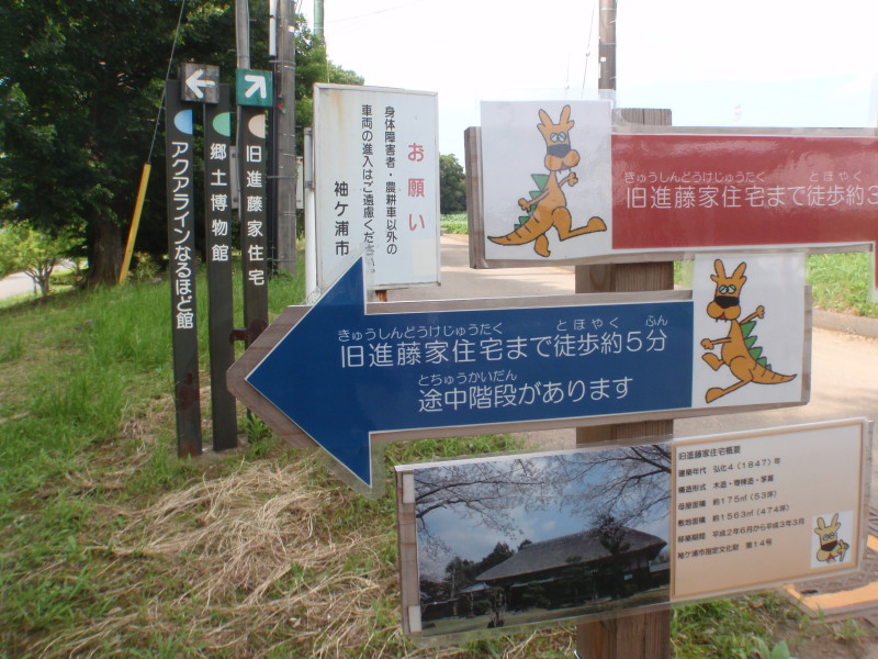 c0034029_1753812.jpg