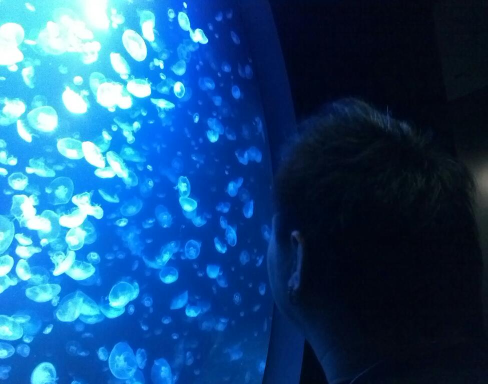 b0076733_8511160.jpg