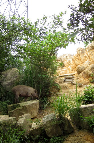 c0038434_1041514.jpg