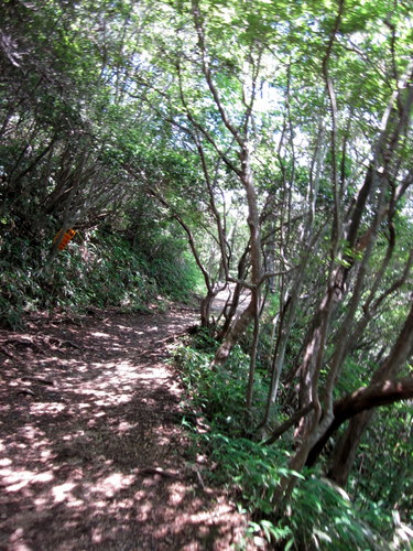 c0038434_1043724.jpg