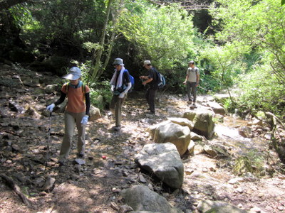 c0038434_1075886.jpg
