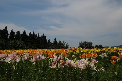 d0252835_9532228.jpg