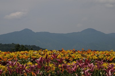 d0252835_953433.jpg