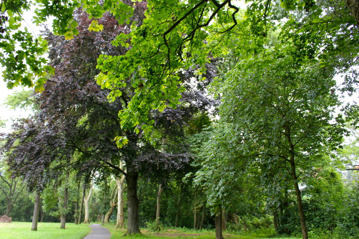 c0153740_19103510.jpg
