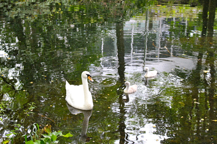 c0153740_19104417.jpg