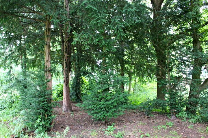 c0153740_1994350.jpg