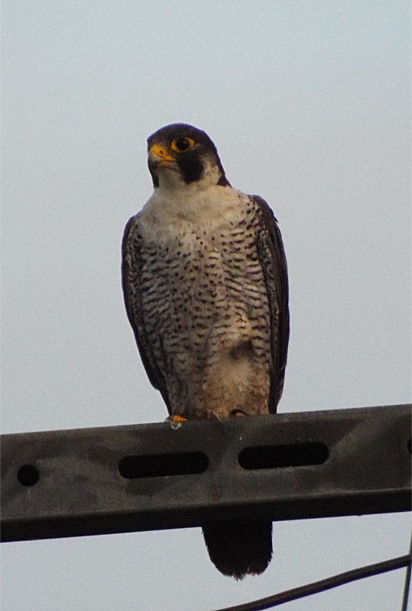 f0214649_15321367.jpg