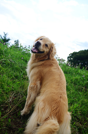 f0044853_13274247.jpg