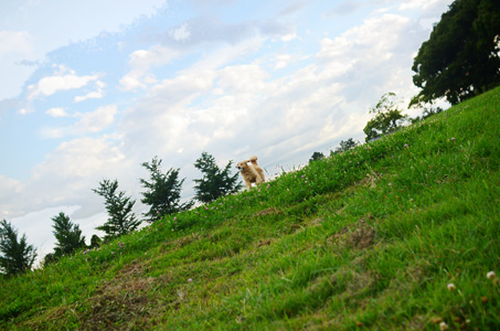 f0044853_13293662.jpg