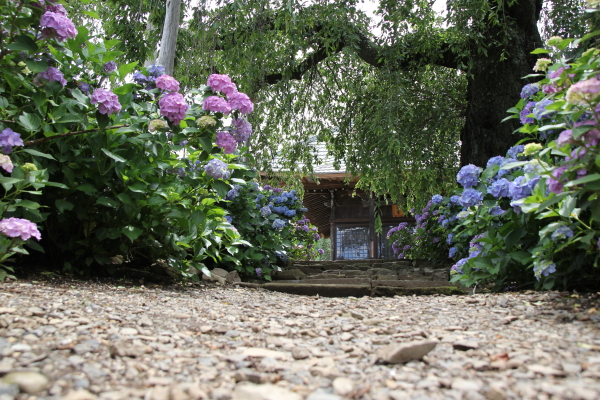 f0160554_2101212.jpg
