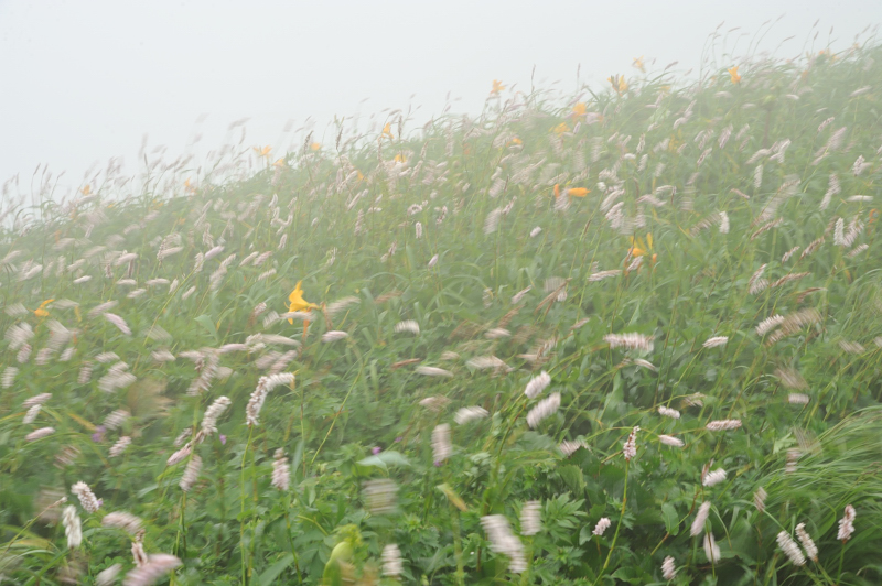 d0169556_19411577.jpg