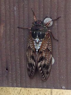 a0081957_10154253.jpg