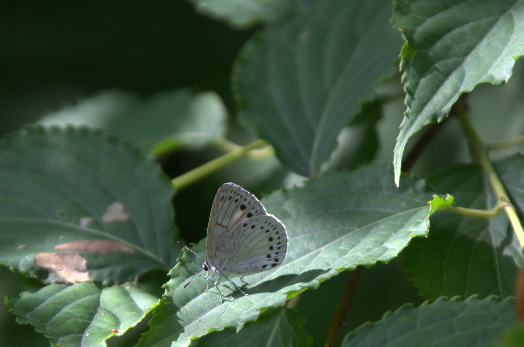 d0098057_413195.jpg
