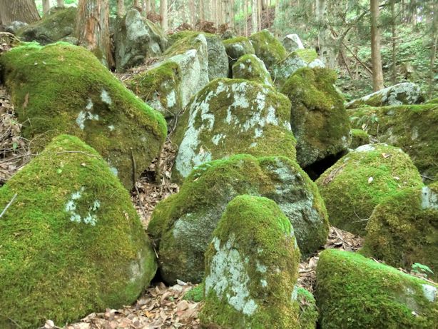 e0027681_151633.jpg